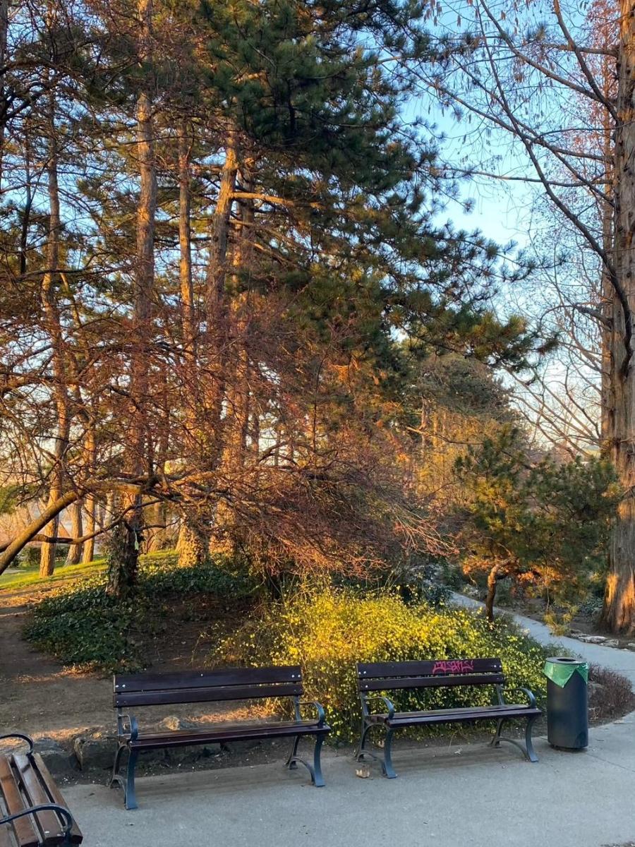 Rest in the&nbsp;city