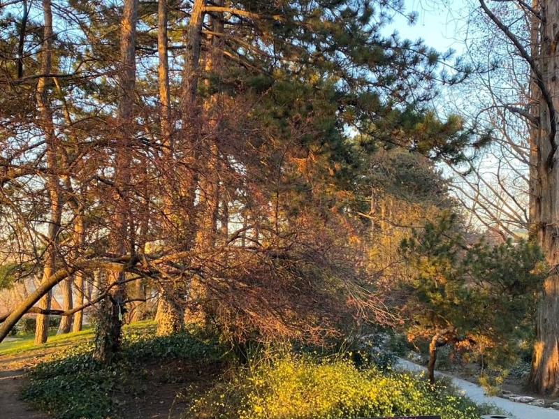 Rest in the&nbsp;city